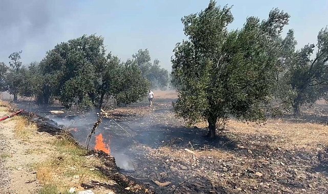 Edremit'te çöplükte çıkan yangın, tarım arazilerine sıçradı