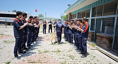 Emekliliği beklenen kahraman köpek 'Köpük', 9 yaşında grup ikincisi oldu