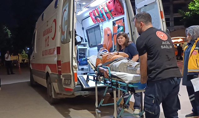 Erik toplarken ağaçtan düşüp, yaralandı