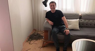 Evinin oturma odasına yuva yapan güvercinlere sahip çıktı