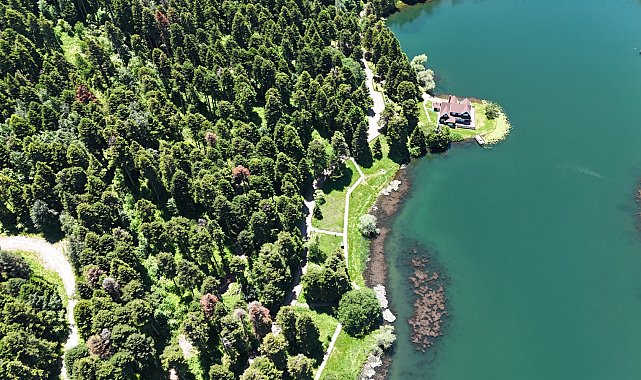 Gölcük'te çam ormanları dronla görüntülendi