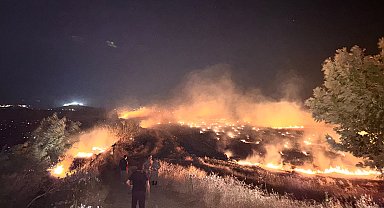 Hatay'da anız yangını, zeytin bahçelerine zarar verdi