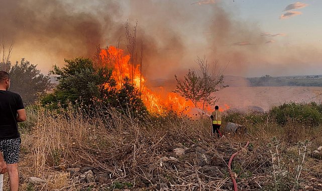 Hatay'da anız yangınında alevler bahçelere sıçradı