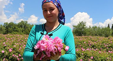 Isparta'da gül sezonu başladı