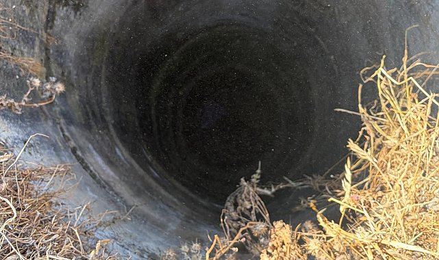 İzmir'de 20 metre derinliğindeki kuyuya düştü, yaralı kurtarıldı