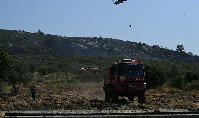 İzmir'de orman yangını
