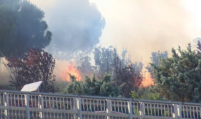 Kağıthane'de otluk alanda çıkan yangın söndürüldü