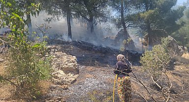 Kahramanmaraş'ta orman yangını
