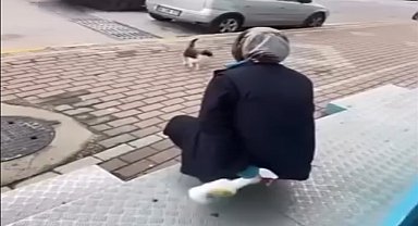 Kedinin yüzüne sprey sıkan market çalışanı beraat etti