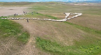 Malatya'da küçükbaşların yayla yolculuğu başladı