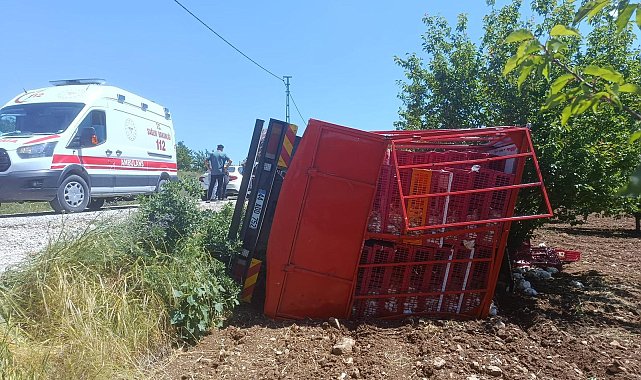 Malatya'da tavuk yüklü kamyon devrildi