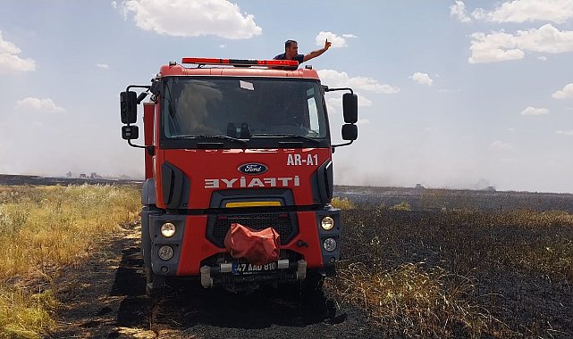 Mardin'de, yangında 300 dönüm arpa ve buğday ekili arazi zarar gördü