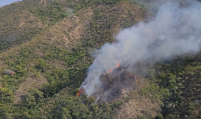 Marmaris'te ormana yıldırım düştü, yangın çıktı