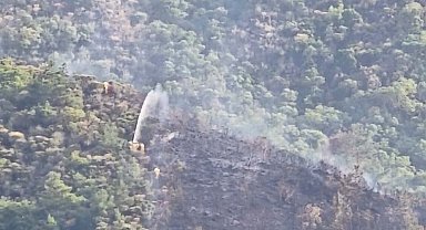 Marmaris'te ormana yıldırım düştü, yangın çıktı