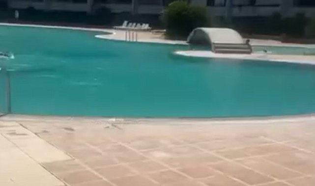 Mersin'de bir kadının haşema ile havuza alınmadığı iddiasına tutuklama