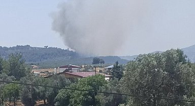 Muğla'da tarım arazisinde çıkan yangın ormana sıçradı