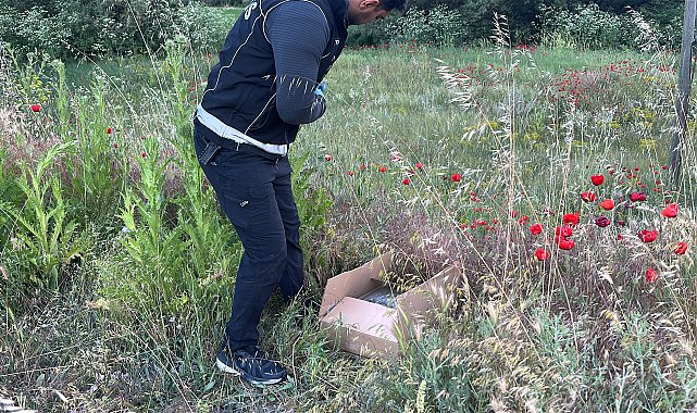 Polisi görünce uyuşturucuyu otların arasına gizlediler