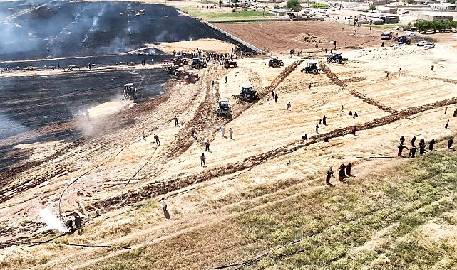 Şanlıurfa'da anız yangınları