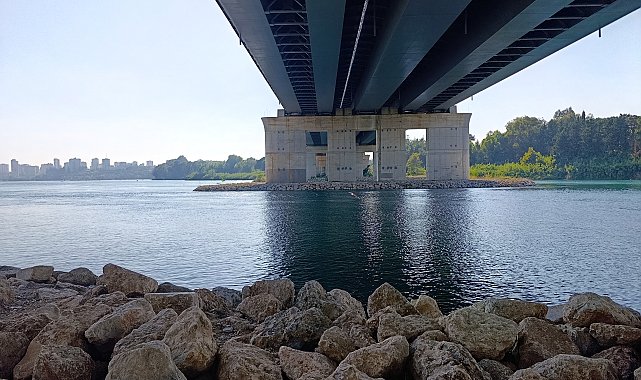 Serinlemek için girdiği nehirde boğuldu
