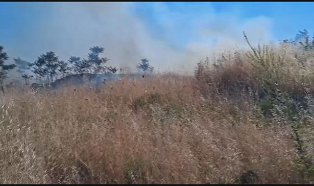 Silivri'de otluk alanda çıkan yangın söndürüldü