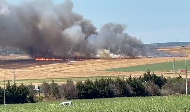 Silivri'de otluk alanda yangın -1