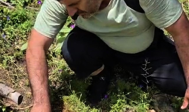Susuz kalan kaplumbağa ile suyunu paylaştı
