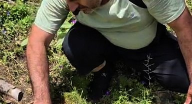 Susuz kalan kaplumbağa ile suyunu paylaştı