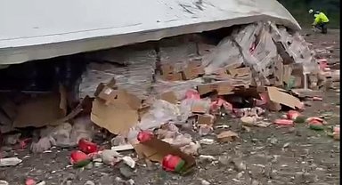 Tavuk eti yüklü TIR şarampole devrildi: 2 yaralı