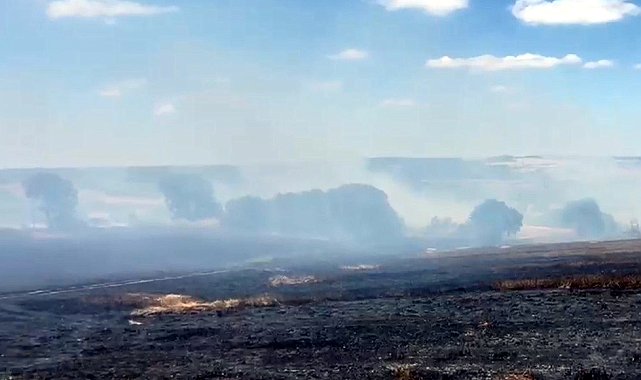 Tekirdağ'da yangın; 200 dekar buğday ekili alan zarar gördü