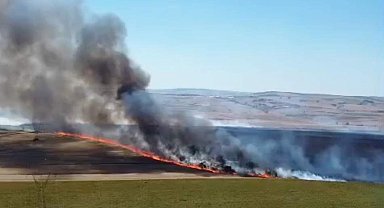 Tekirdağ'da yangında 300 dekar tarım alanı zarar gördü