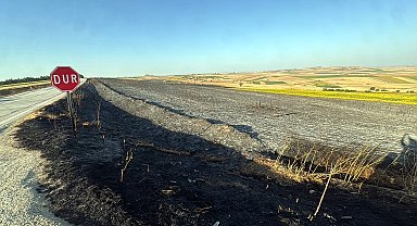 Tekirdağ'da yangında 350 dönüm buğday ekili alan zarar gördü