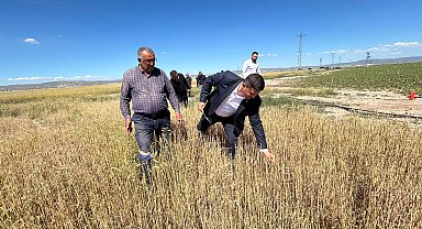 Tuz Gölü Ovası'nda doludan zarar gören tarım arazilerinde hasar tespit çalışması başlatılıyor