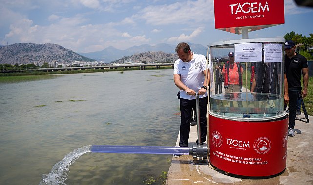 Yok olmanın eşiğinden dönen 2 endemik tür balığın yavruları suyla buluşturuldu