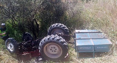 Zeytinliğe devrilen traktörün sürücüsü öldü