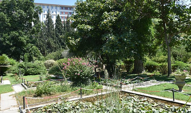 'Canlıların yaşayabileceği tampon bölgelerin kaybolduğunu görüyoruz'