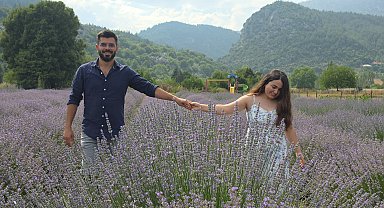 Adana'nın lavanta bahçeleri çekim platosuna dönüştü