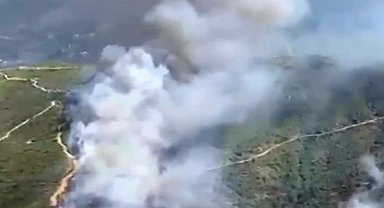 Alanya'da orman yangını