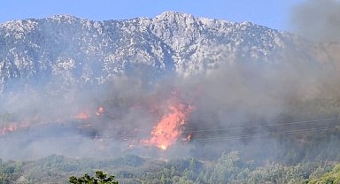 Alanya'da orman yangını