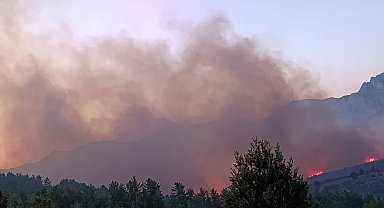 Alanya'da orman yangını