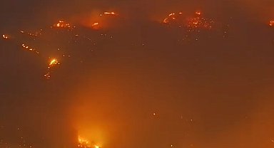 Alanya'da orman yangını