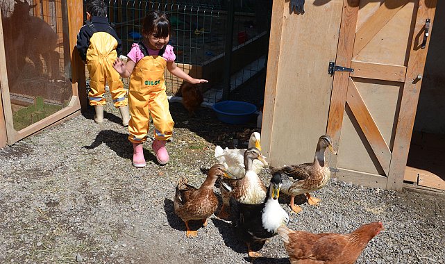 Anaokulu öğrencilerine ormanda doğayla iç içe eğitim