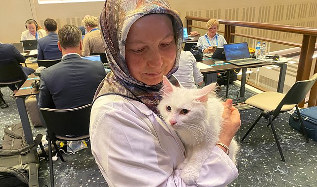 Ankara kedisi 'Lokum', yabancı basın mensuplarının ilgi odağı oldu