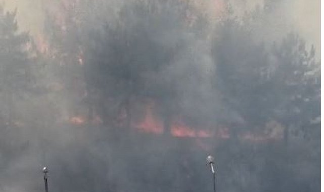 Ankara'da ODTÜ Ormanı'nda yangın