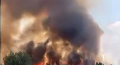 Ankara'da otluk alanda yangın