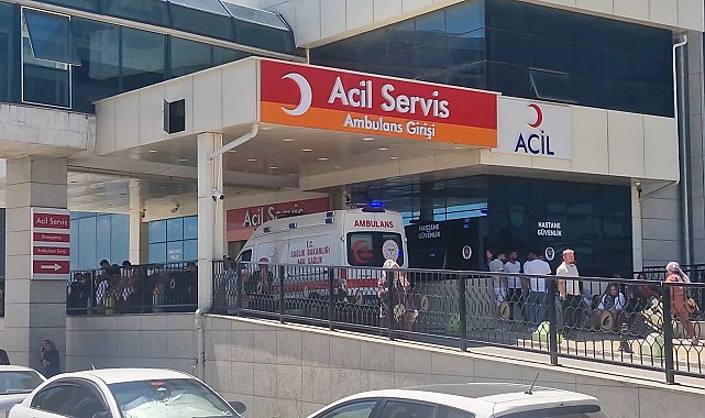 Arazi anlaşmazlığı nedeniyle tartıştığı akrabasını tüfekle vurdu