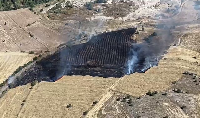 Arazide çıkan yangında 10 dönüm alan zarar gördü