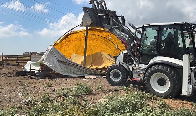 Avcılar'da kaçak ahır kümes ve barakalar belediye ekipleri tarafından yıkıldı