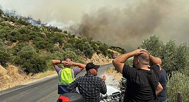 Aydın'daki orman yangını 2'nci gününde