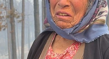 Aydın'daki orman yangınına havadan müdahale yeniden başladı