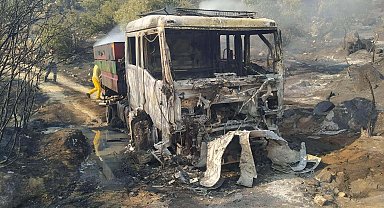 Aydın'daki yangında 100 hektar zeytinlik zarar gördü